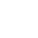 Expertise Icon