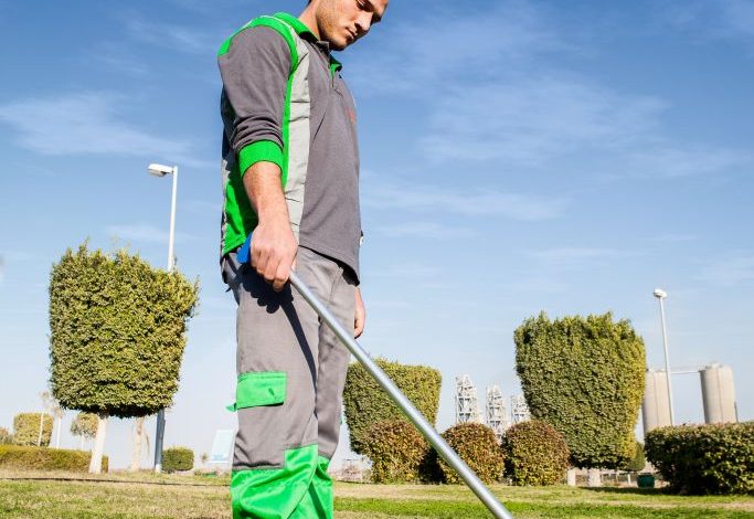 Landscaping & Grounds
